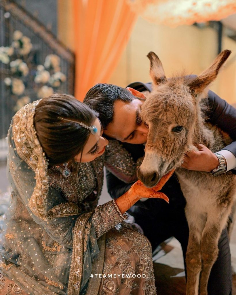 Azlan Shah Reveals Reason Behind Gifting Donkey To Warisha Khan