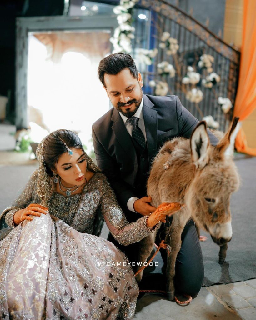 Azlan Shah Reveals Reason Behind Gifting Donkey To Warisha Khan