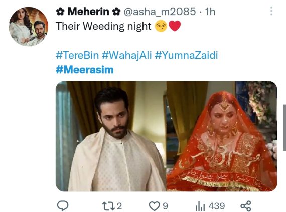 Tere Bin Fans in Love with Meerab & Murtasim's Wedding | Reviewit.pk