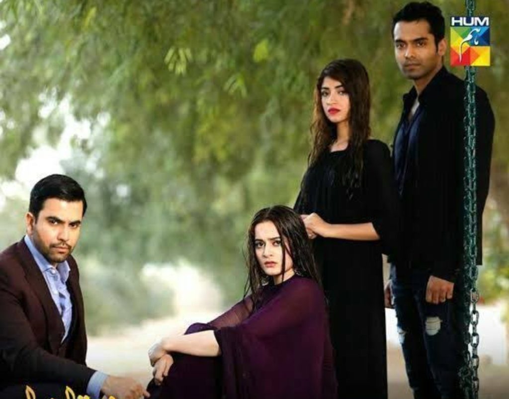 Will Aiman Khan Make a Comeback In Acting