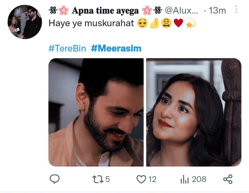 Tere Bin's Romantic Sequences Winning Fans' Hearts