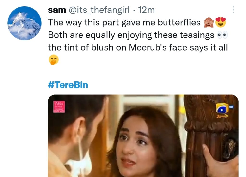 Tere Bin's Romantic Sequences Winning Fans' Hearts