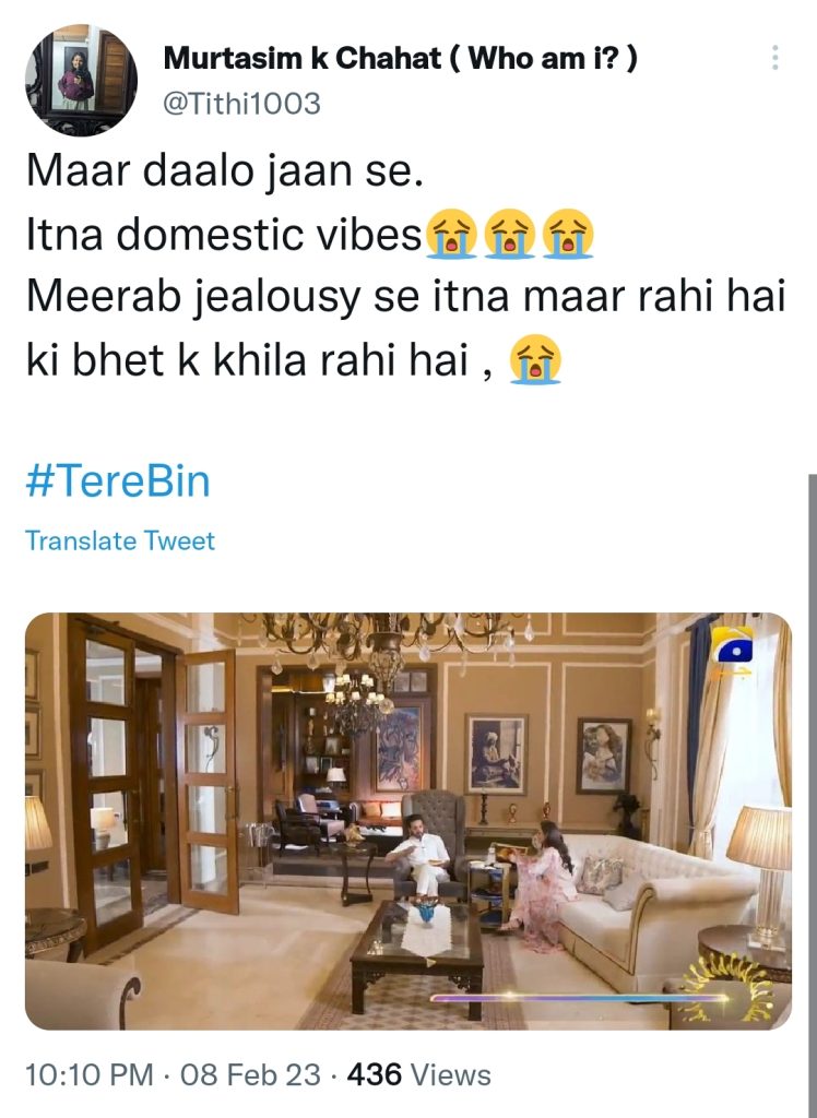 Tere Bin's Romantic Sequences Winning Fans' Hearts