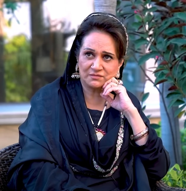 Bushra Ansari Shares Her Views On Slapping In Tere Bin