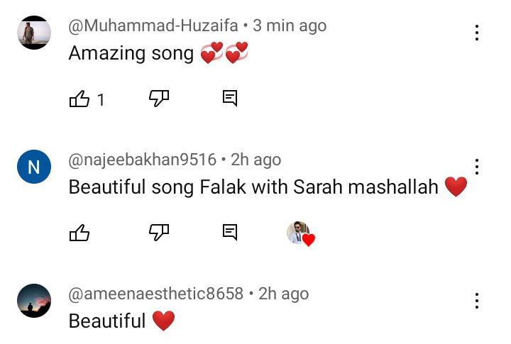 Falak Shabir Releases New Song Starring Sarah Khan