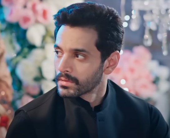 Mujhe Pyaar Hua Tha Episode 9- Viewers Feel Sad For Saad