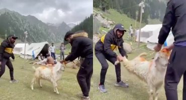 Animal Cruelty Video Of Students From Kumrat Valley Distresses Public