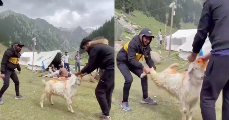 Animal Cruelty Video Of Students From Kumrat Valley Distresses Public