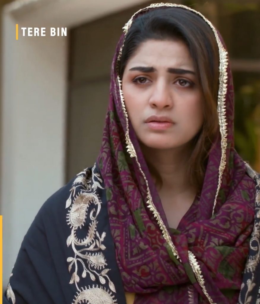 Tere Bin Story Twist From Main Leads To Other Characters Distracting Viewers