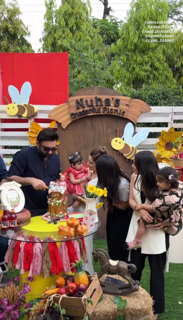 Ammara Hikmat Daughter's Picnic Themed Birthday Party