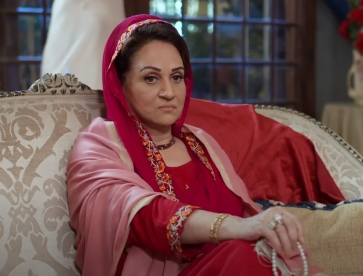 Bushra Ansari Makes Fun Of Tere Bin Scenes Reviewit Pk