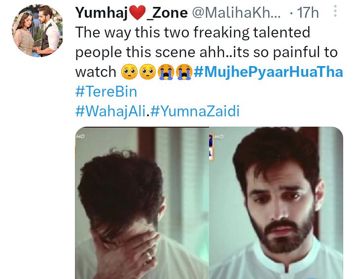 Mujhe Pyaar Hua Tha Episode 21 Leaves Fans Devastated