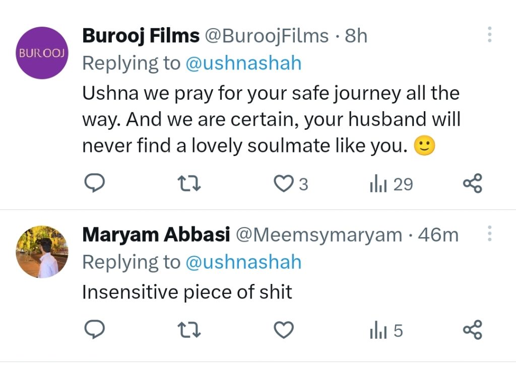 Fans Find Ushna Shah's Joke Regarding Husband Dramatic
