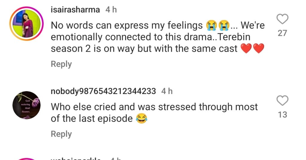 Tere Bin Last Episode Public Reaction