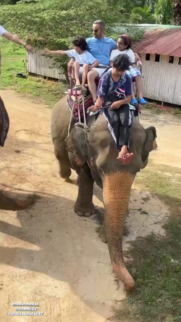 Shahzad Sheikh And Momal Sheikh With Families In Phuket