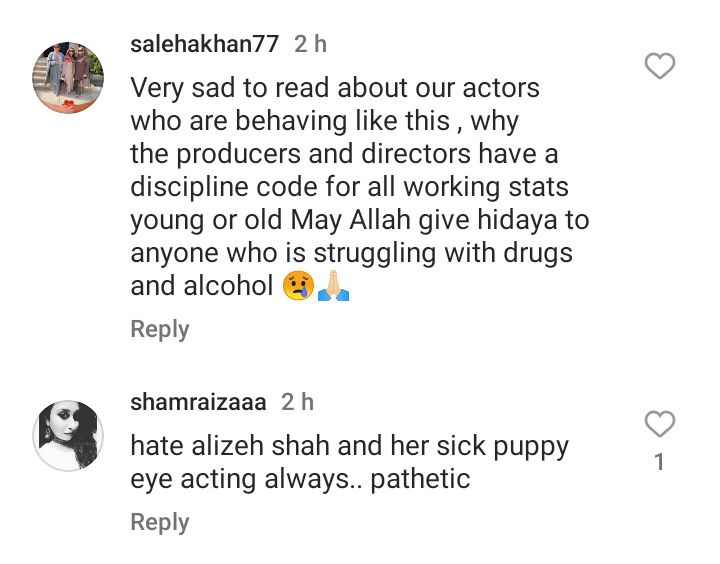 Actress Minsa Malik Lodges Police Complaint Against Alizeh Shah
