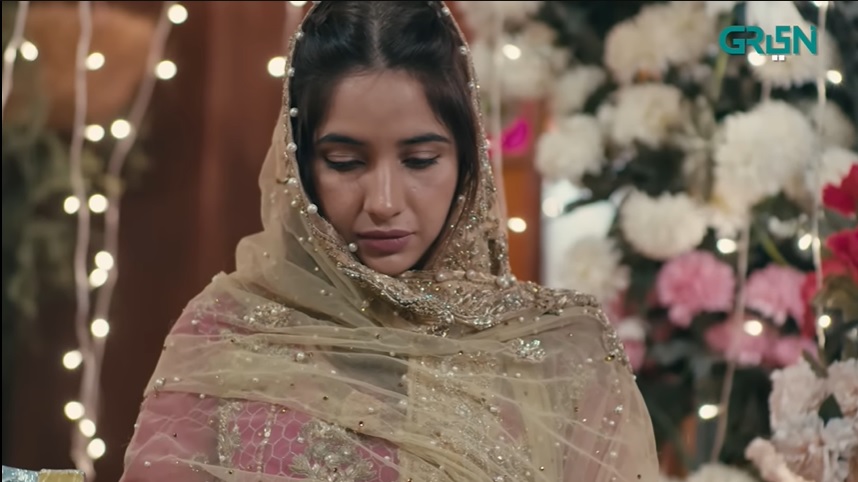 Pakistani Celebrities Praise Kabli Pulao