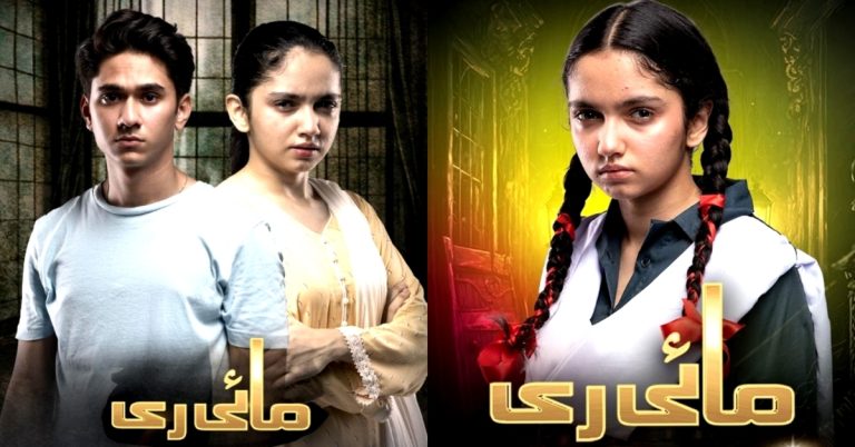 Public Shares Lessons They Learned from Mayi Ri
