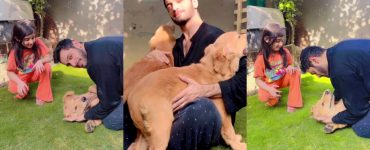 Wahaj Ali's Heart Melting Moments With Puppies