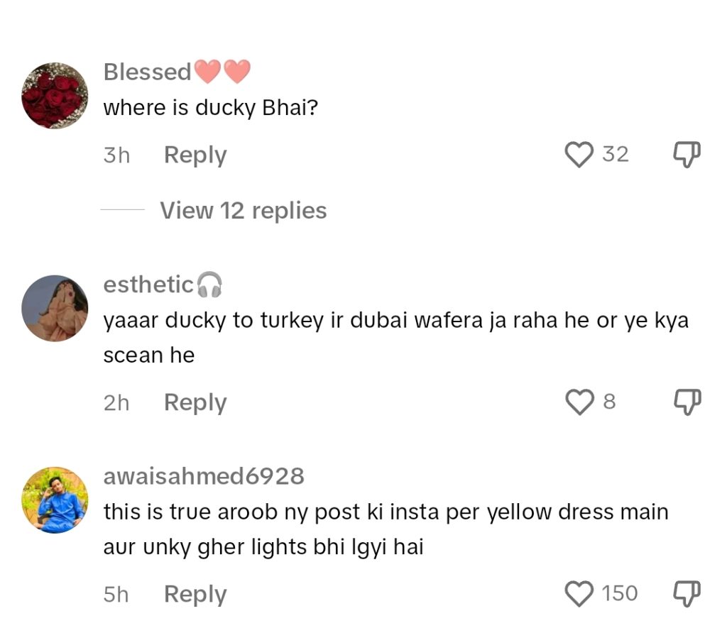 Ducky Bhai Sister Wedding Video Goes Viral