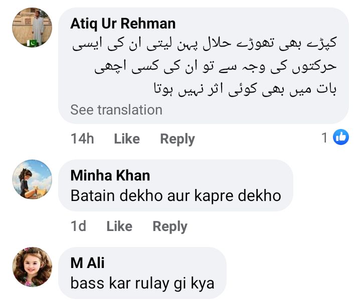 Hira And Arslan's Halal Relationship Statement Gets Mixed Public Response