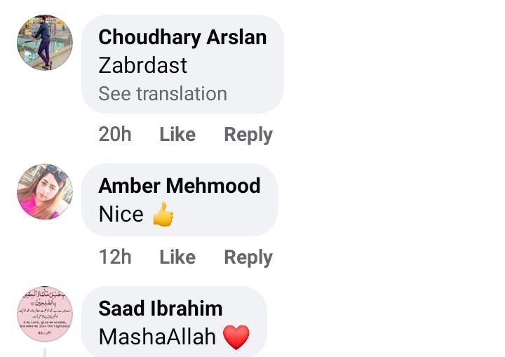 Hira And Arslan's Halal Relationship Statement Gets Mixed Public Response