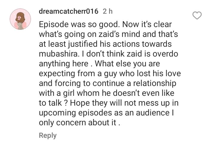Mein Episode 12- Zaid's Beahviour Divides Fans