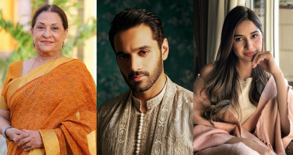 10 Pakistani Actors Who Dominated the Year 2023