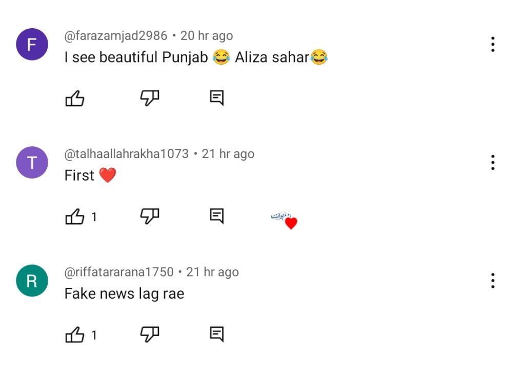 Has YouTuber Aliza Sehar Gotten Married