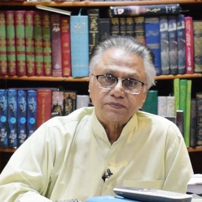 Journalist Hassan Nisar's Advice After Shoaib Malik- Sania Mirza Divorce