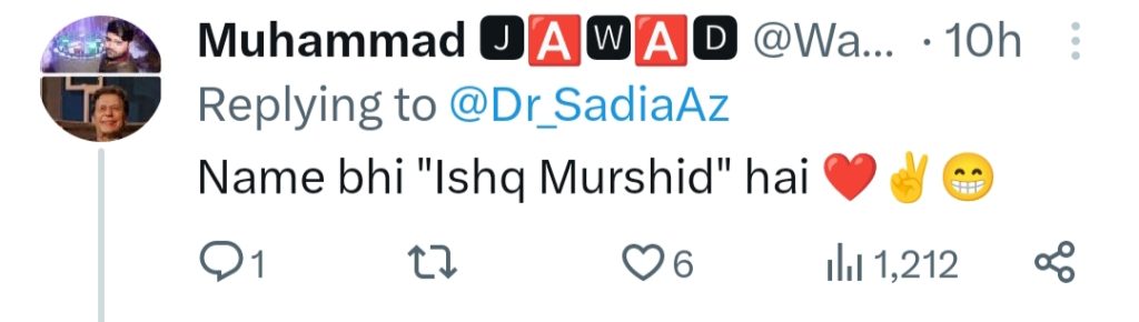Ishq Murshid Gets Into Election Spirit