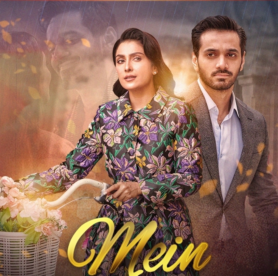 Mein Last Episode - Fans Unhappy With Incomplete Ending