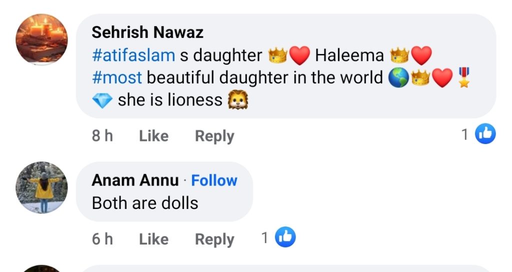Pakistanis & Indians Compare Atif Aslam and Alia Bhatt Daughters