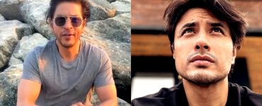 Ali Zafar Criticized For Disagreeing With Shahrukh Khan's Idea Of Success