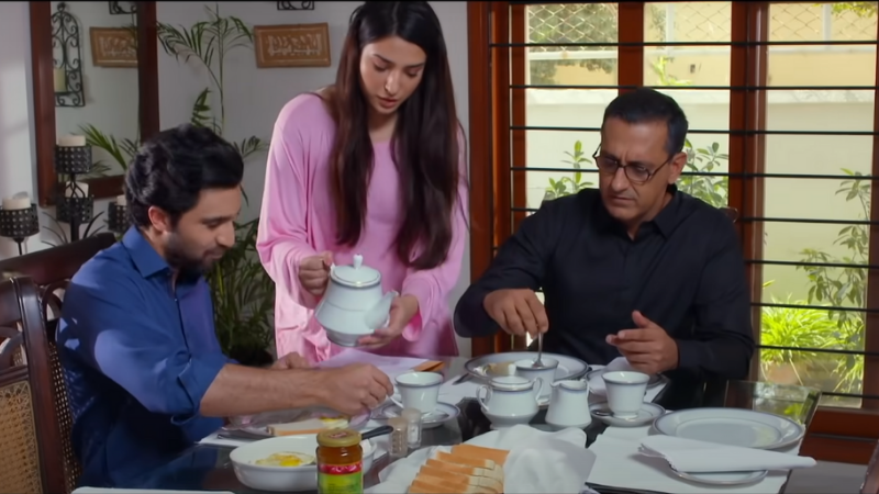 Danish Nawaz's Fun Take on Fathers in Pakistani Dramas