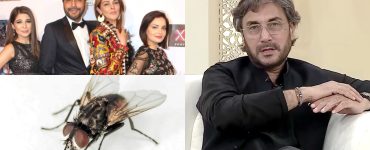 Adnan Siddiqui Compares Women To Houseflies
