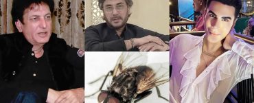 KRQ Calls Ken Doll Beghaiarat And Reacts To Adnan Siddiqui's Fly Statement