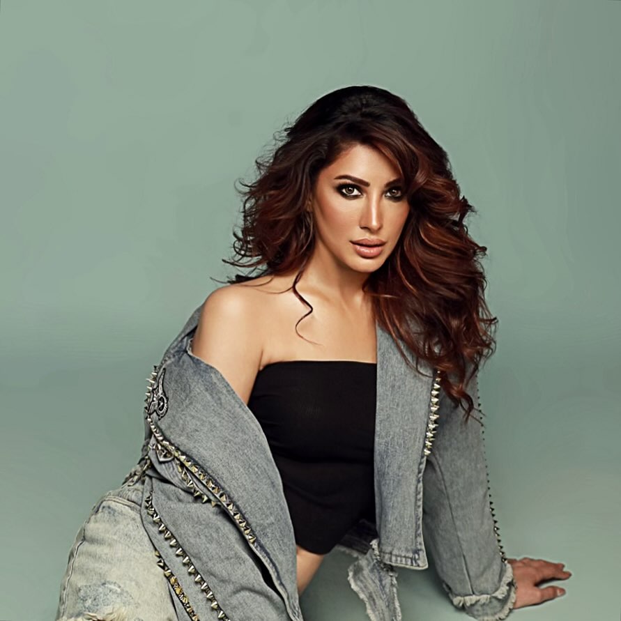 Which Bollywood Khan Does Mehwish Hayat Wish To Work With