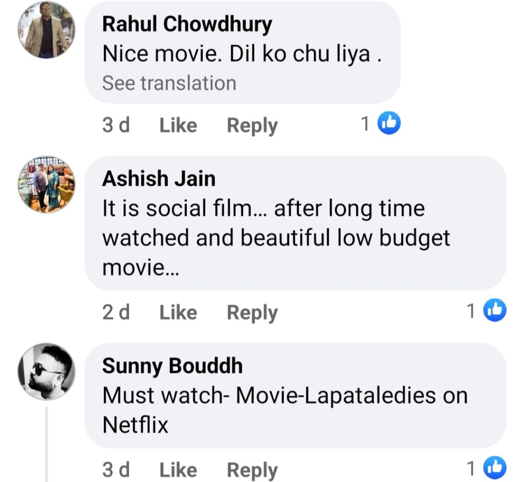 Laapataa Ladies On Netflix Wins Hearts