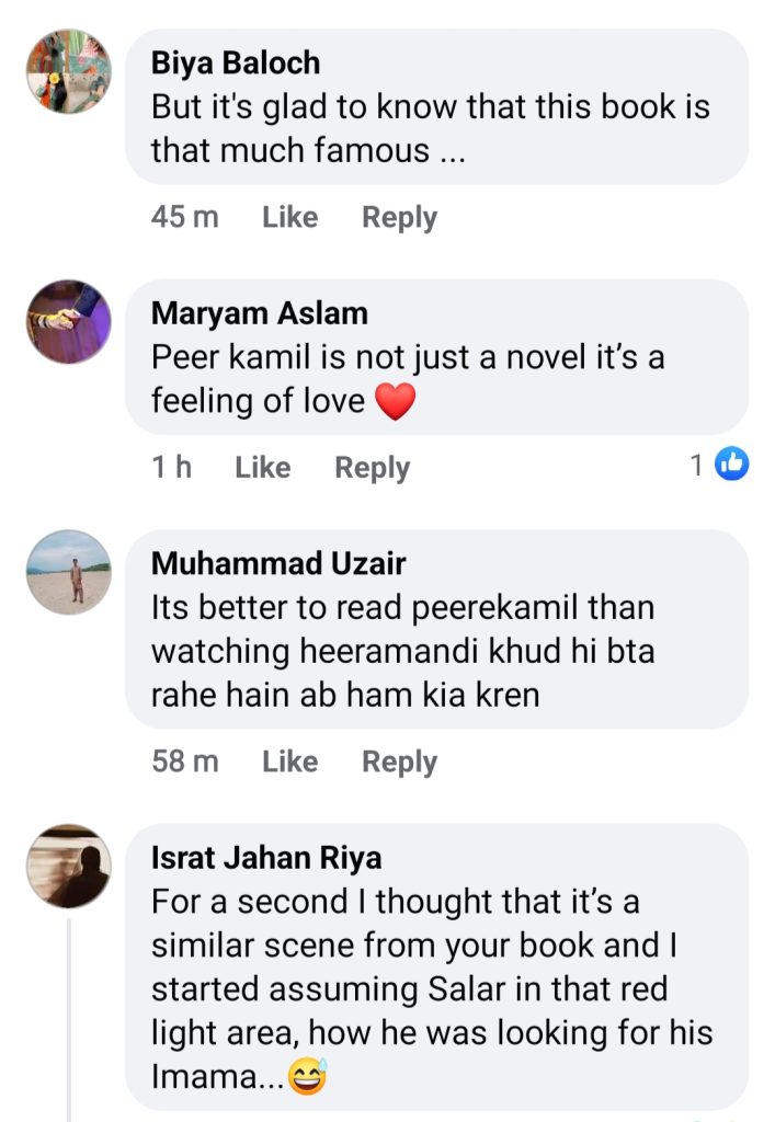 Netflix Heeramandi And Umera Ahmed's Peer e Kamil- What's The Connection