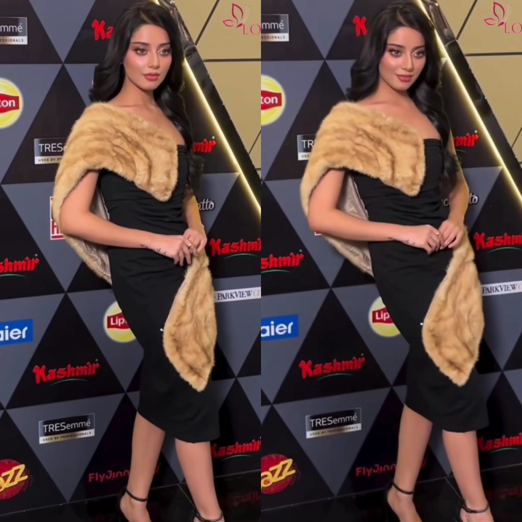 Pakistani Celebrities Heavily Criticized For Their Poor Dressing At Hum Style Awards