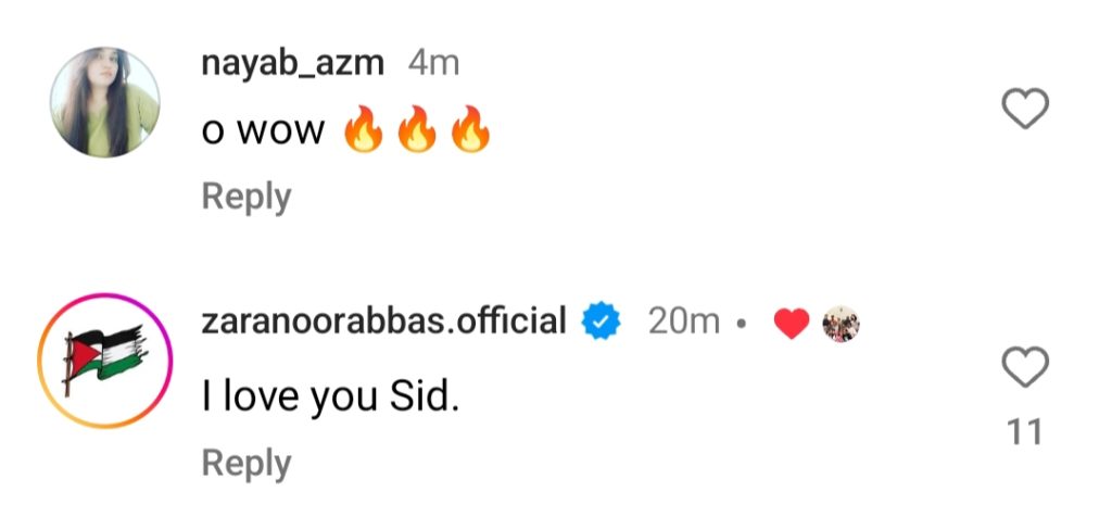Asad Siddiqui's Love Anthem For Wife Zara Noor Abbas