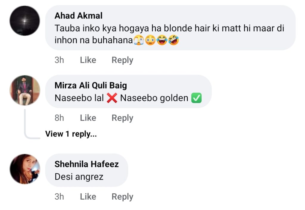 Naseebo Laal Son’s Look & Performance Gets Funny Reactions