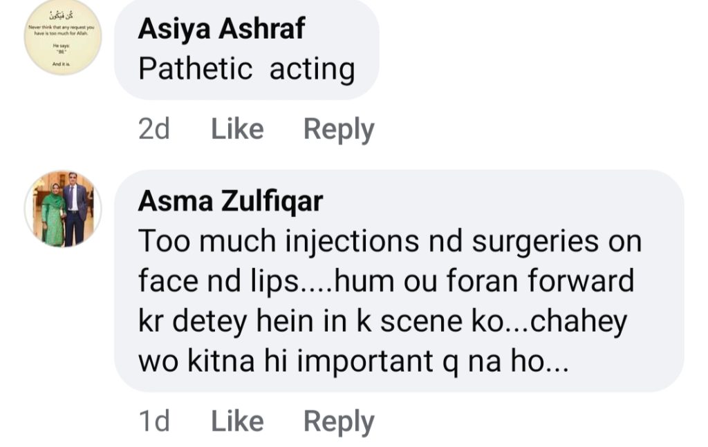 Zoya Nasir's Performance & Lip Fillers In Noor Jahan Heavily Criticized