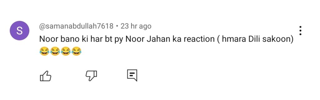 Noor Jahan Episode 23 - Fans Love Noor Bano's Revenge from Noor Jahan