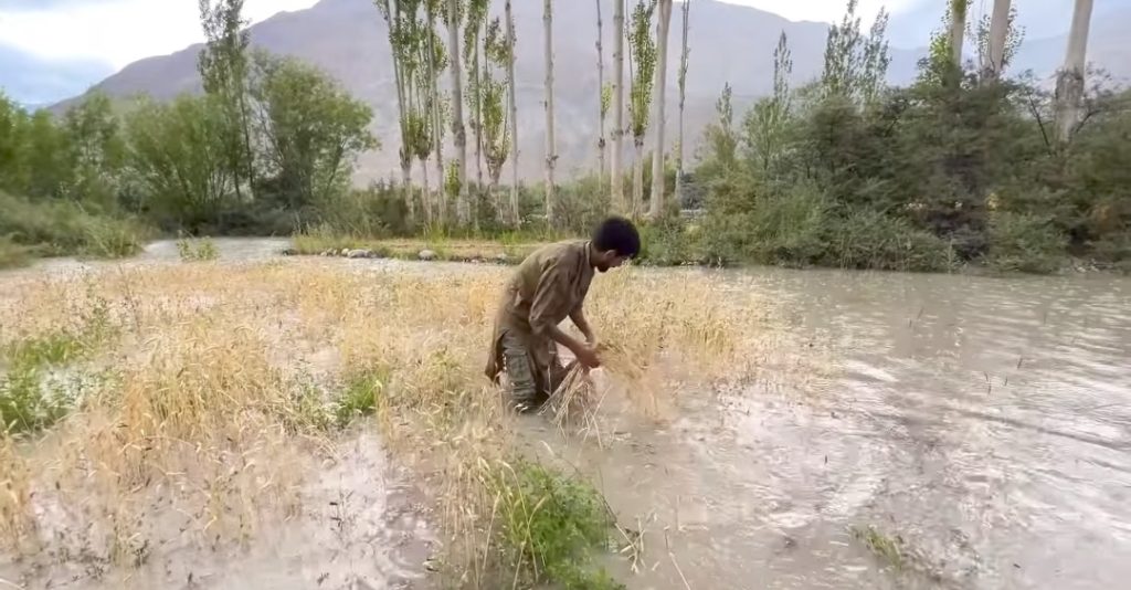 Muhammad Shiraz's Update About Flood In His Village & Appeal to Government