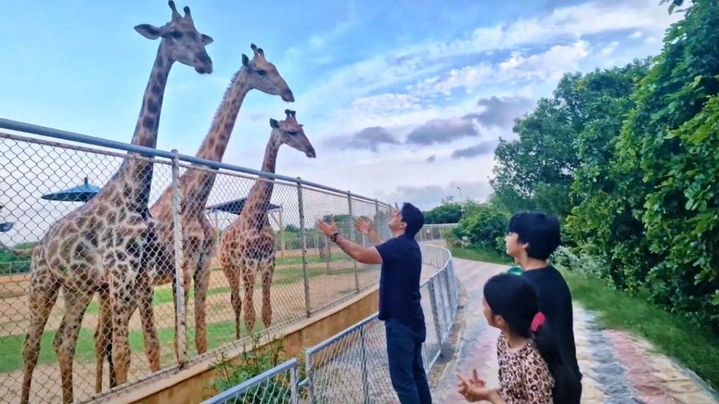 Syed Jibran's Adorable Family Pictures