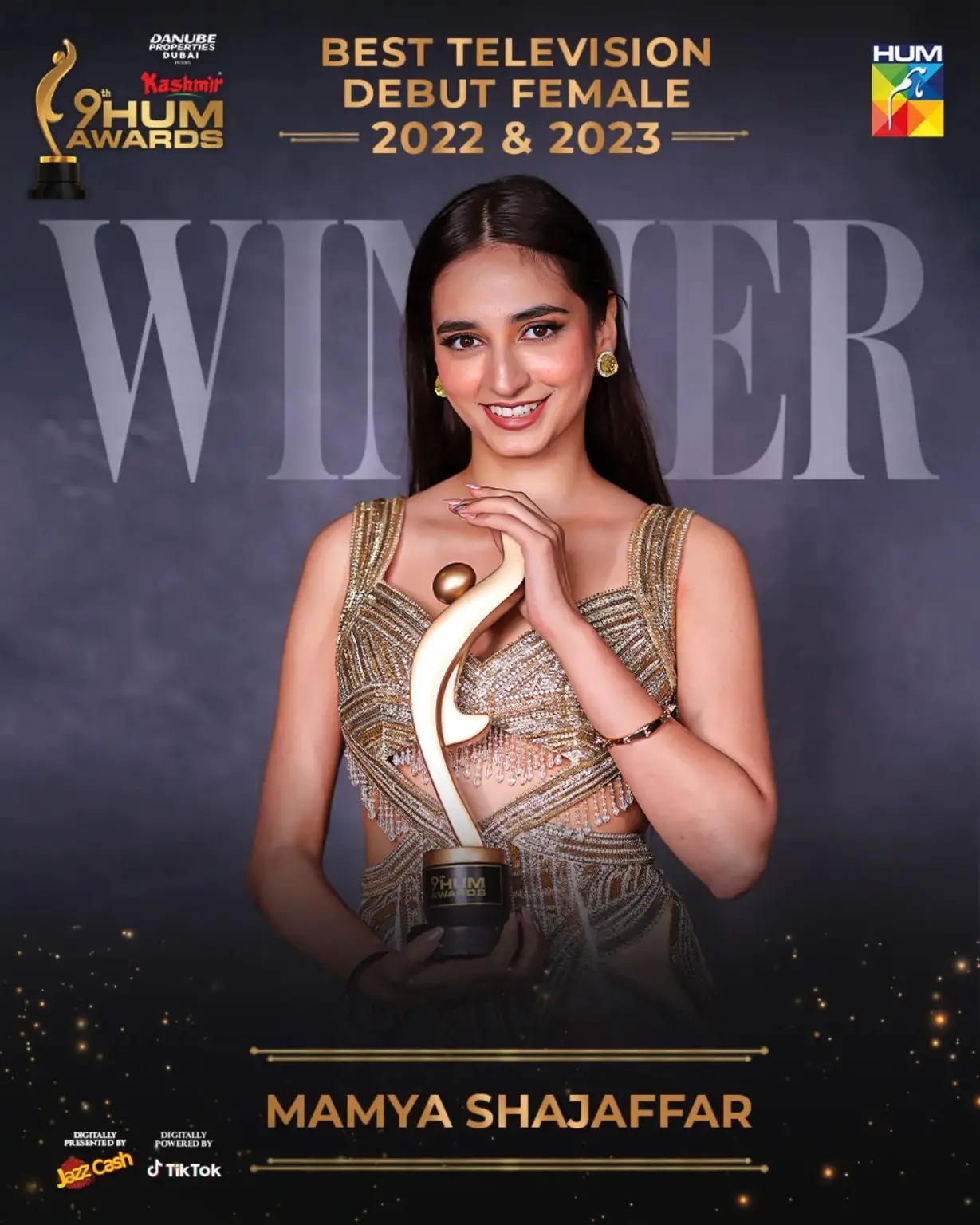 Hum Awards 2024 - Winners List | Reviewit.pk