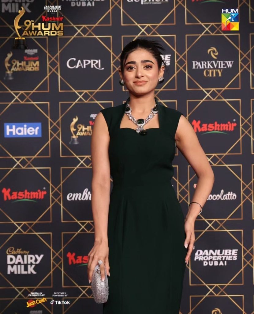 Celebrities' Looks From Hum Awards 2024