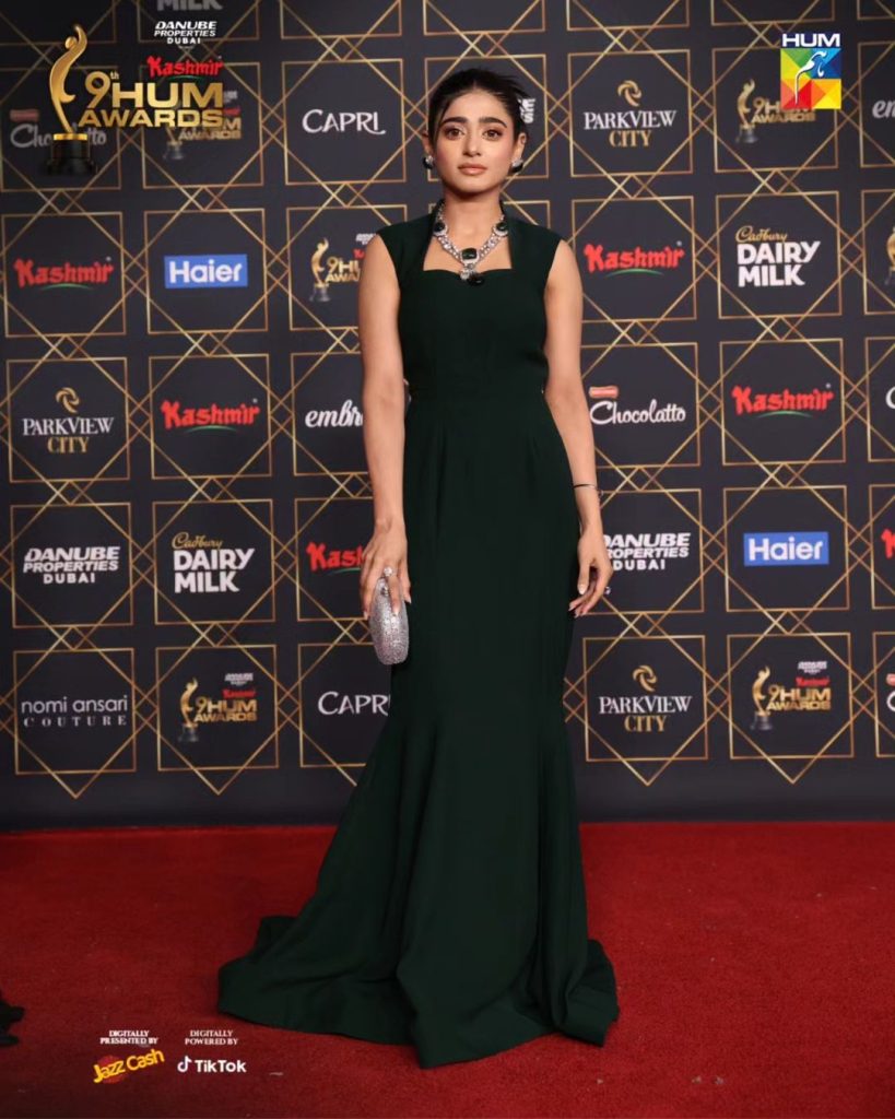 Best & Worst Dressed Pakistani Celebrities At Hum Awards 2024